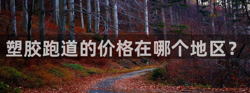 尊龙传奇英文怎么写