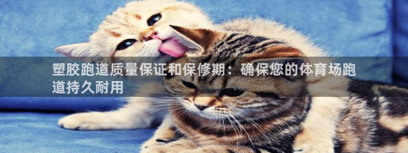 尊龙手机官方客户端下载安卓：塑胶跑道质量保证和保修期：确保您