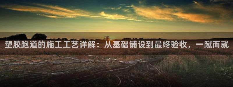 尊龙凯时游戏厅：塑胶跑道的施工工艺详解：从基础铺设到最终验收