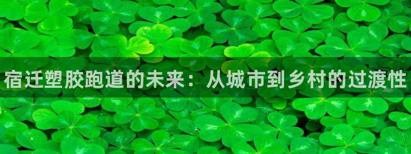 尊龙凯时客服：宿迁塑胶跑道的未来：从城市到乡村的过渡