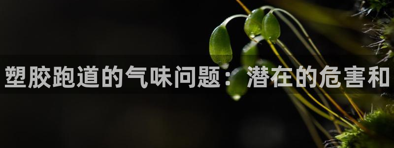 z6尊龙官网：塑胶跑道的气味问题：潜在的危害和
